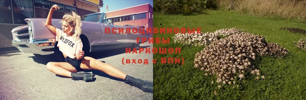 ГАЛЛЮЦИНОГЕННЫЕ ГРИБЫ Медвежьегорск