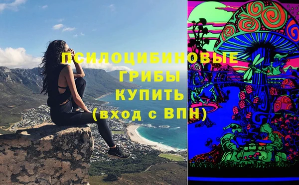 гашик Мегион
