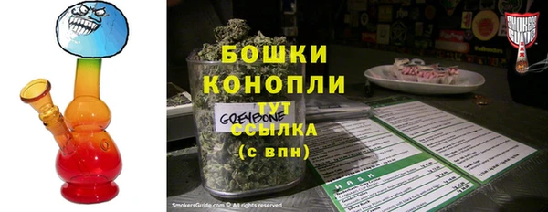 гашик Мегион