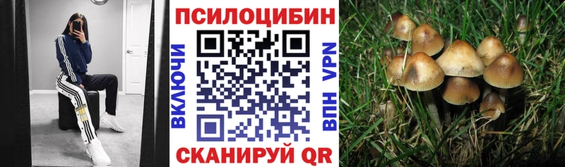 Псилоцибиновые грибы мухоморы Питкяранта
